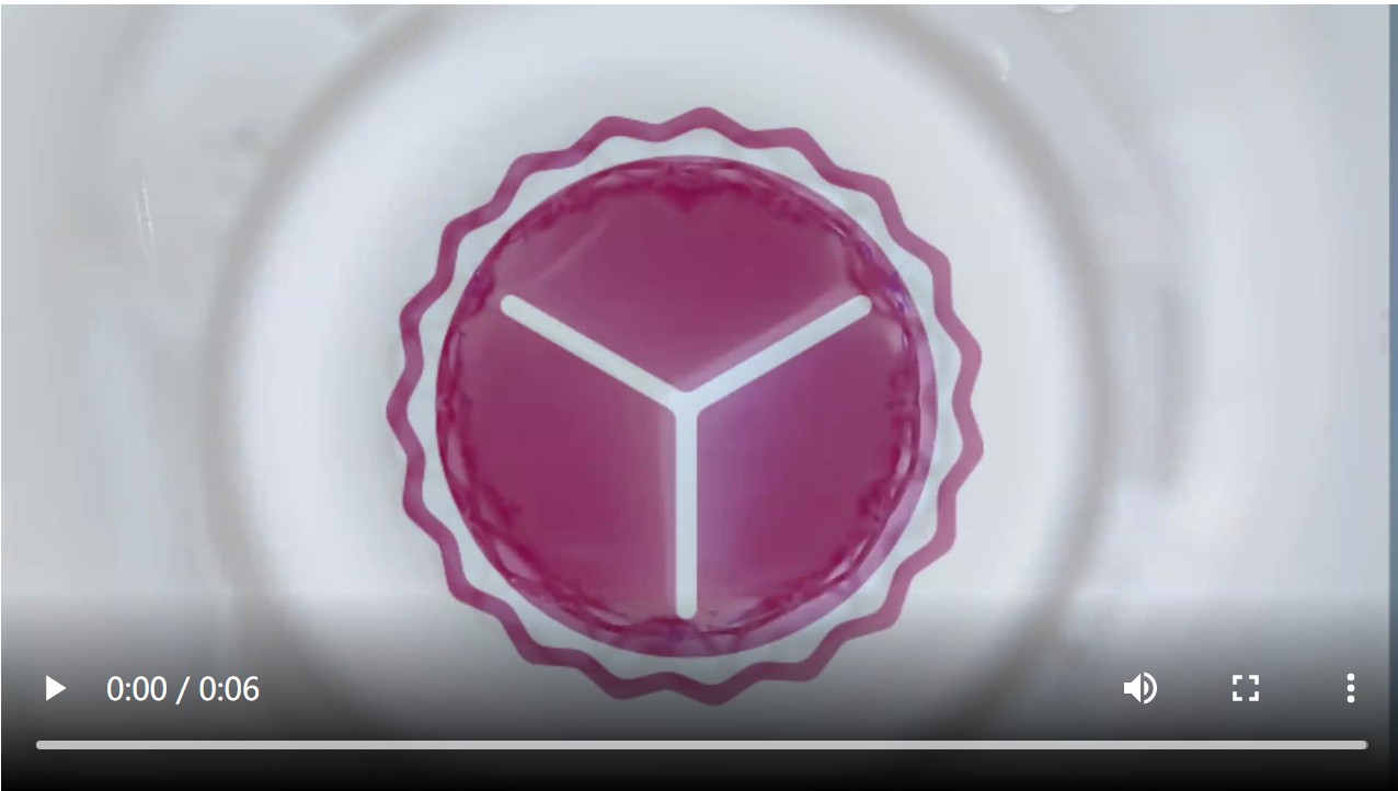 QQ20250626-092619.jpg QQ20250626-092619.jpg