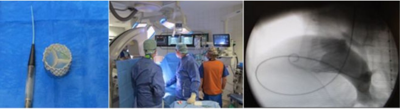 QQ20250626-092656.jpg QQ20250626-092656.jpg