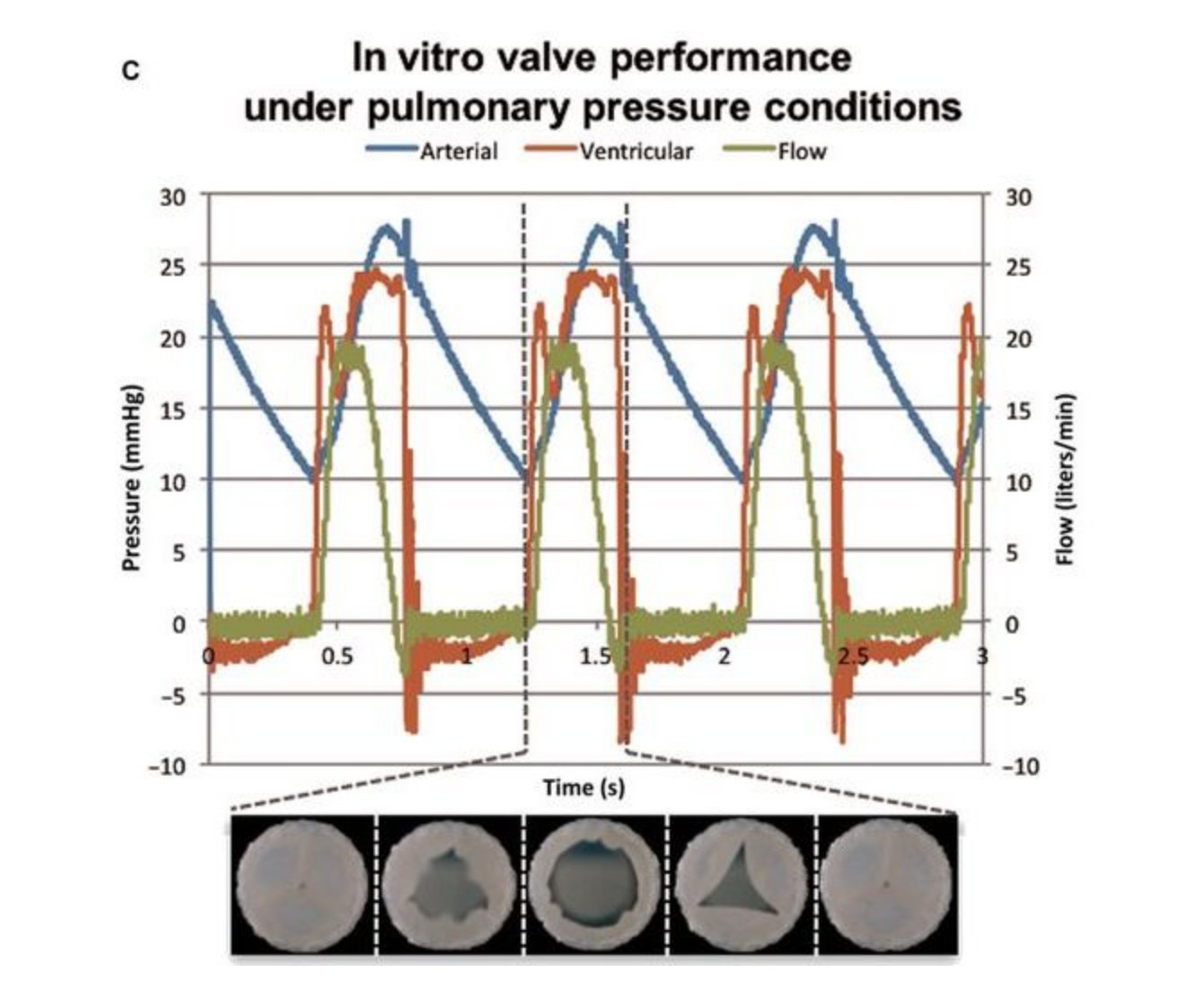 QQ20250626-092821.jpg QQ20250626-092821.jpg