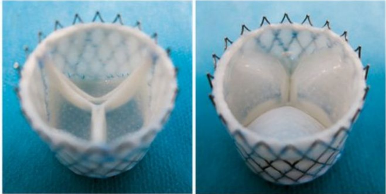 QQ20250626-092132.jpg QQ20250626-092132.jpg